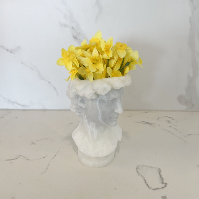 3D Printed DAVID Vintage Ornamental Vase in NZ / Flower Vases in NZ