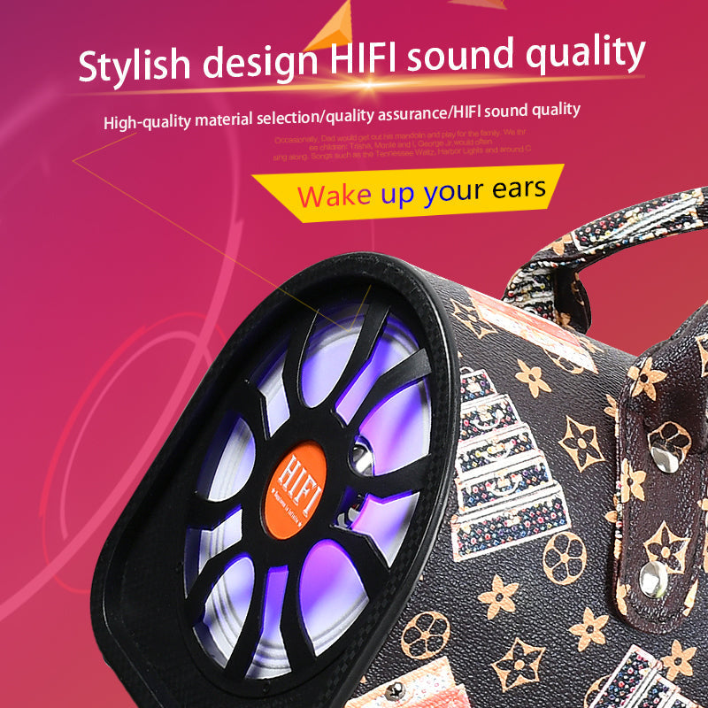 Portable Bluetooth Handbag Speaker FM Radio in NZ – Techlive