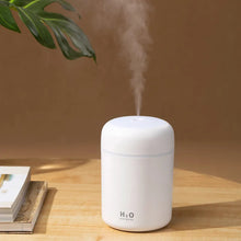 Load image into Gallery viewer, LED Air Diffuser Humidifier