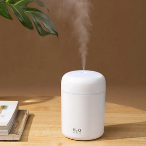 LED Air Diffuser Humidifier