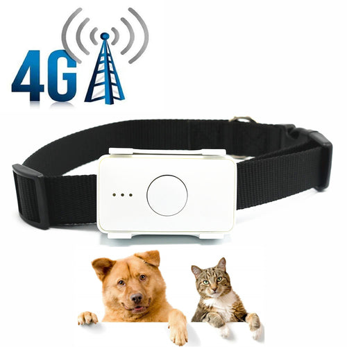 4G Pet Dog Cat GPS Tracker App Control