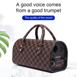 Portable Bluetooth Handbag Speaker FM Radio